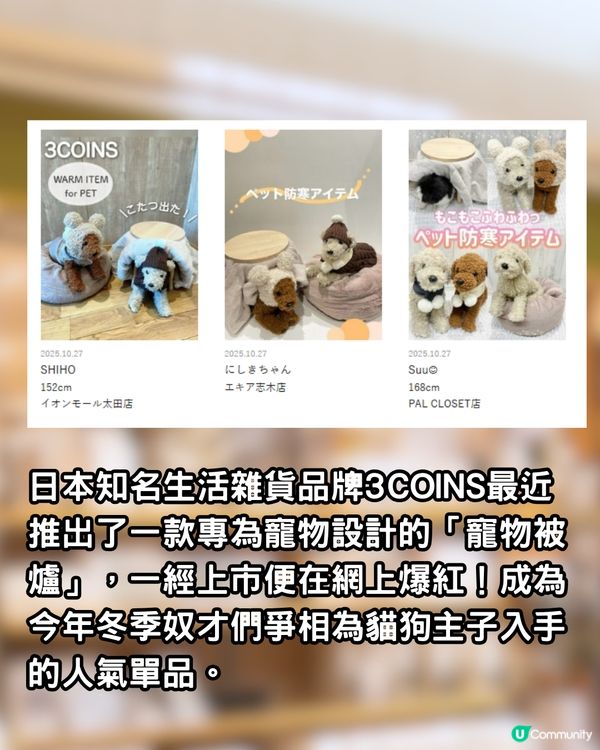 日本3COINS熱賣「寵物被爐」！毛孩冬天必備恩物！無需插電好安全