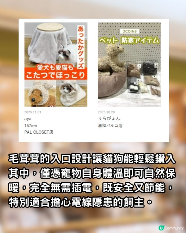 日本3COINS熱賣「寵物被爐」！毛孩冬天必備恩物！無需插電好安全
