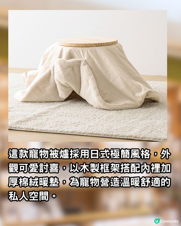 日本3COINS熱賣「寵物被爐」！毛孩冬天必備恩物！無需插電好安全