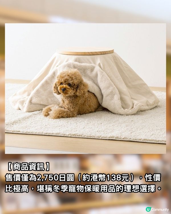 日本3COINS熱賣「寵物被爐」！毛孩冬天必備恩物！無需插電好安全