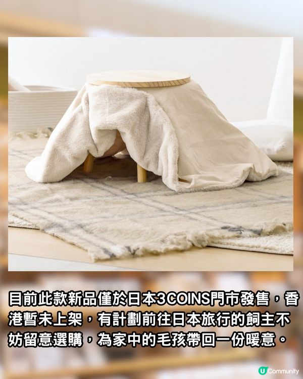 日本3COINS熱賣「寵物被爐」！毛孩冬天必備恩物！無需插電好安全