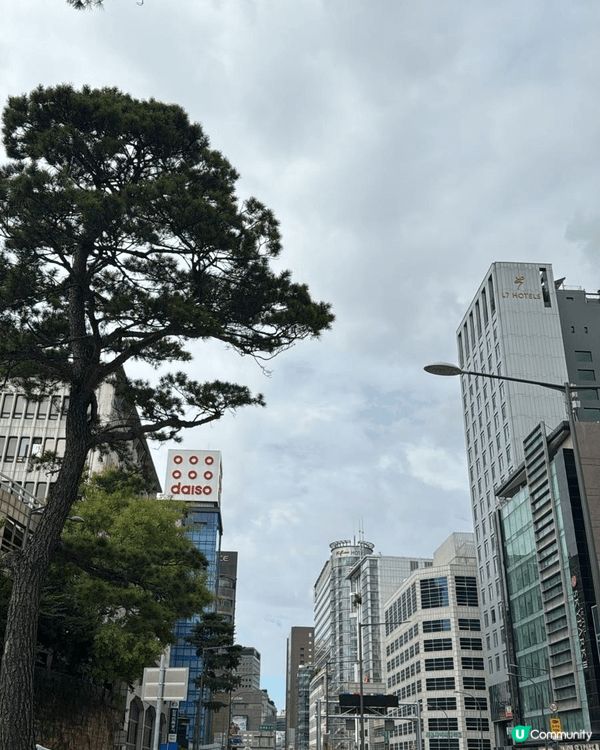 我每年都會去韓國幾次