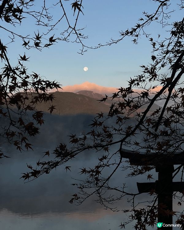 📍由布院 金麟湖