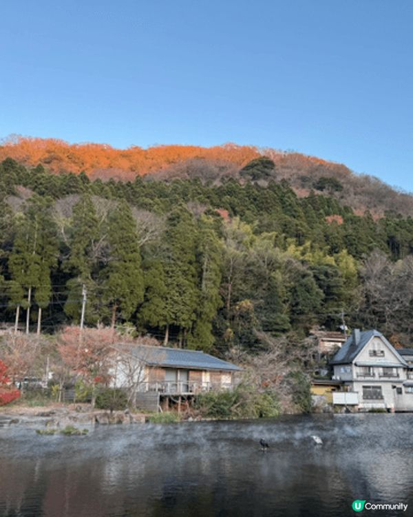 📍由布院 金麟湖