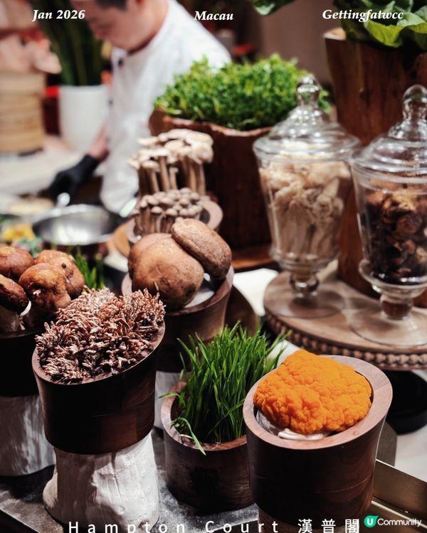 澳門美食推介！😋