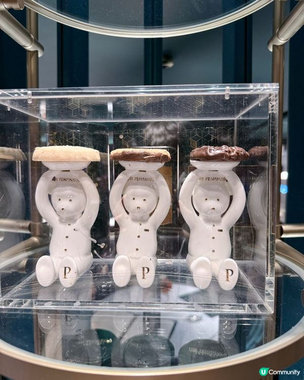 半島小熊換新裝！馬年必入手！🧸🧧