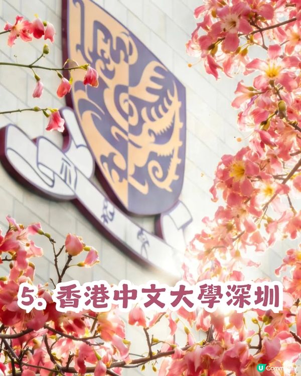 多圖！2026深圳紫花風鈴木6大打卡位🌸地鐵直達、免費入場！