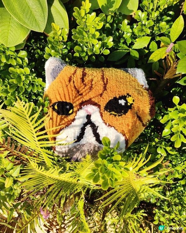 TUFTING❤️手作地毯體驗工作坊🥰🥰