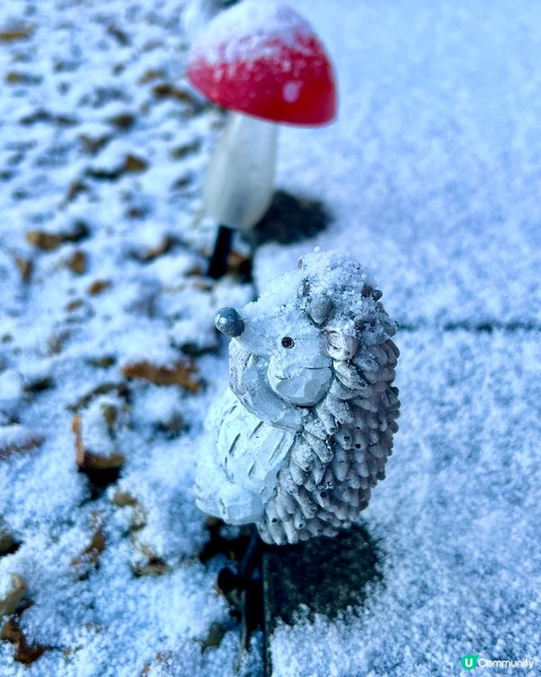 『英國』紫色日落好靚💜原來係落雪先兆❄️