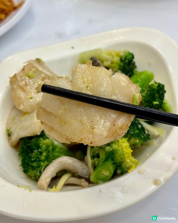 大圍肉餅飯之選👍