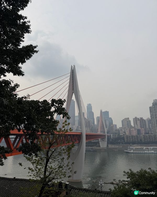 重慶福煲砂鍋 🌶️ 莫文蔚都曾在這裏吃飯！