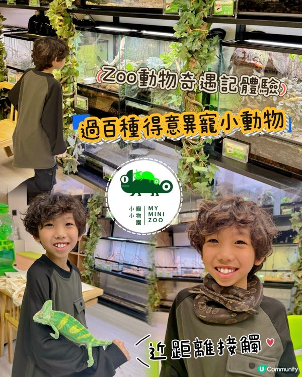 拎正牌+學到嘢嘅室內異寵體驗🐾