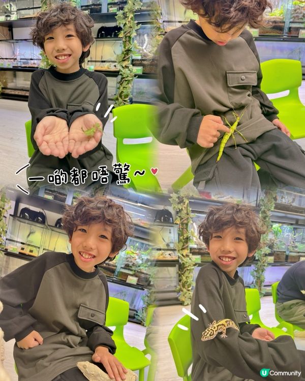 拎正牌+學到嘢嘅室內異寵體驗🐾