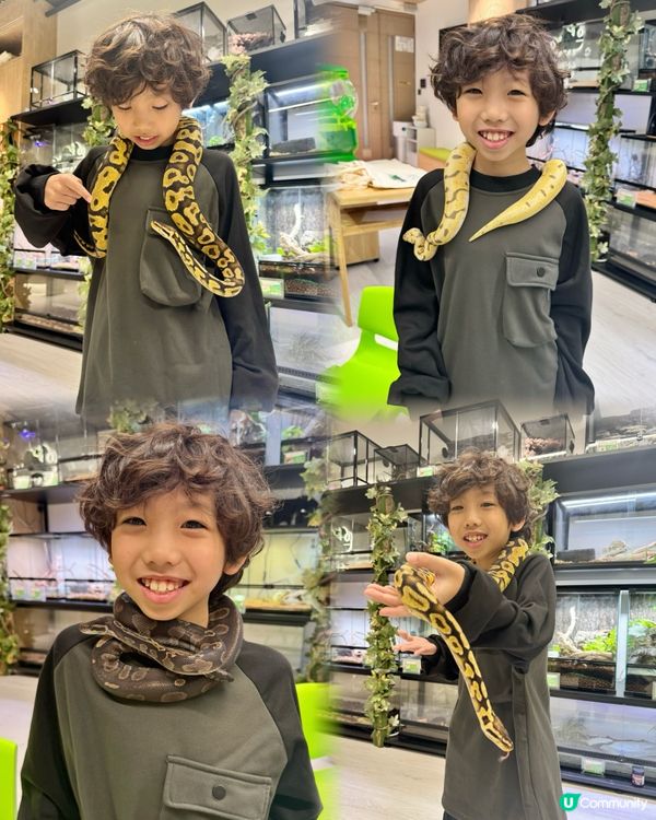 拎正牌+學到嘢嘅室內異寵體驗🐾