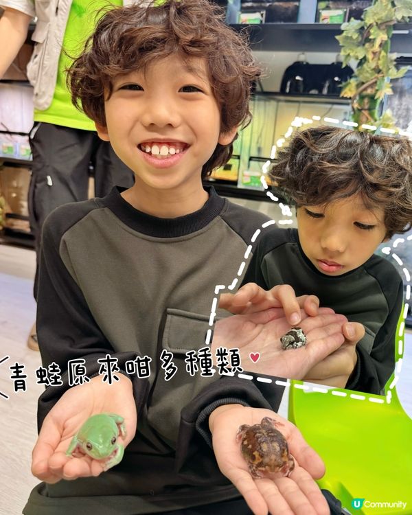 拎正牌+學到嘢嘅室內異寵體驗🐾