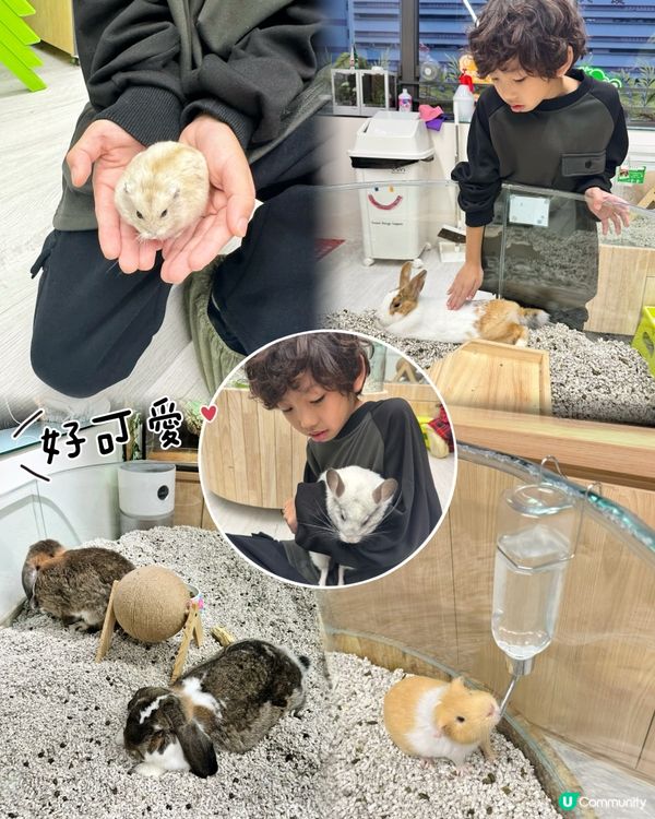 拎正牌+學到嘢嘅室內異寵體驗🐾