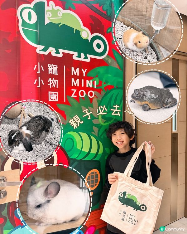 拎正牌+學到嘢嘅室內異寵體驗🐾