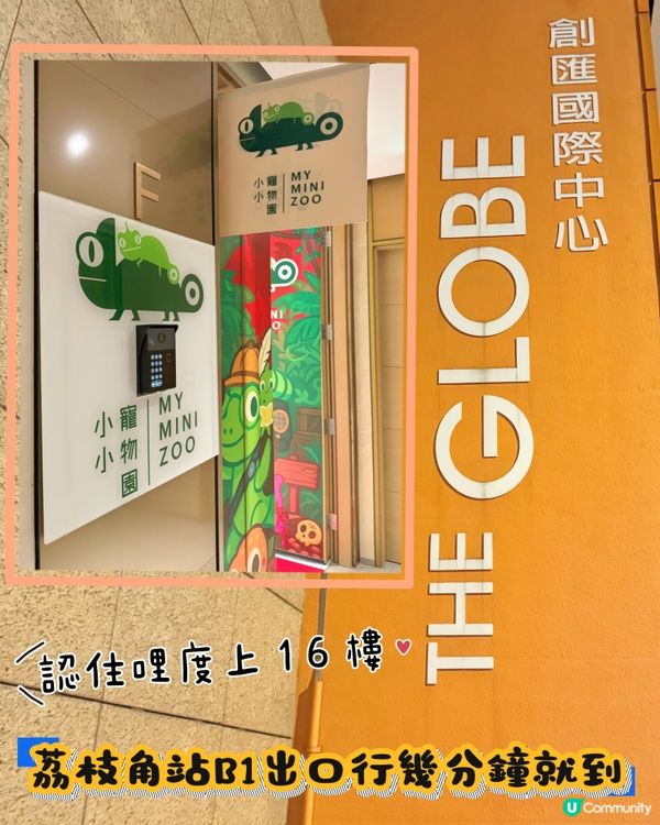 拎正牌+學到嘢嘅室內異寵體驗🐾