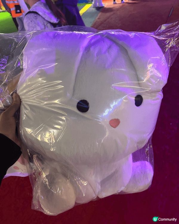 在Aia嘉年華玩了一晚幸運贏回來的毛公仔