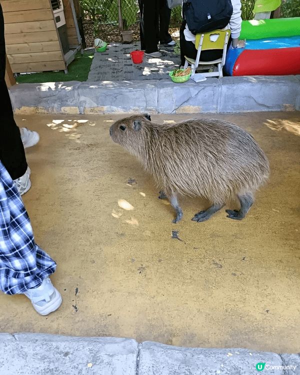 喜歡周圍去，演唱會，海邊，漂亮風景和燈飾,還有吃很多美食