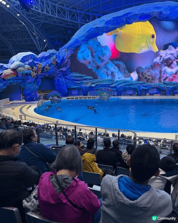 珠海飛船樂園係好正嘅親子景點，特別要睇這個海洋劇場表演！好精...