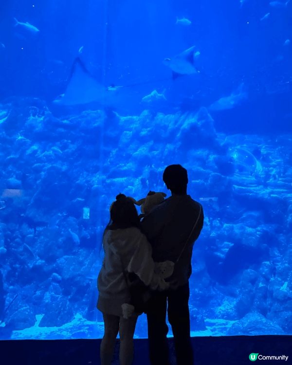 海洋公園, 最適合一家大細去玩, 有動物睇又有機動遊戲玩, ...