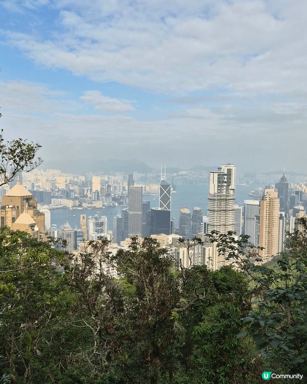 山頂唔係得凌霄閣同埋覽車，睇下香港景色都係好多人必做事。