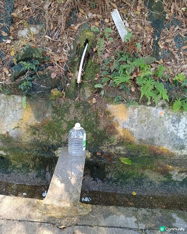水泉坳(水泉澳邨)山水