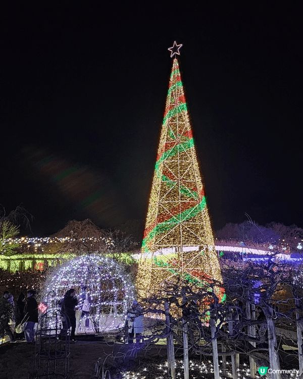 東京足利花卉公園，夜間燈飾非常美麗和精彩，花卉植物亦非常美麗...