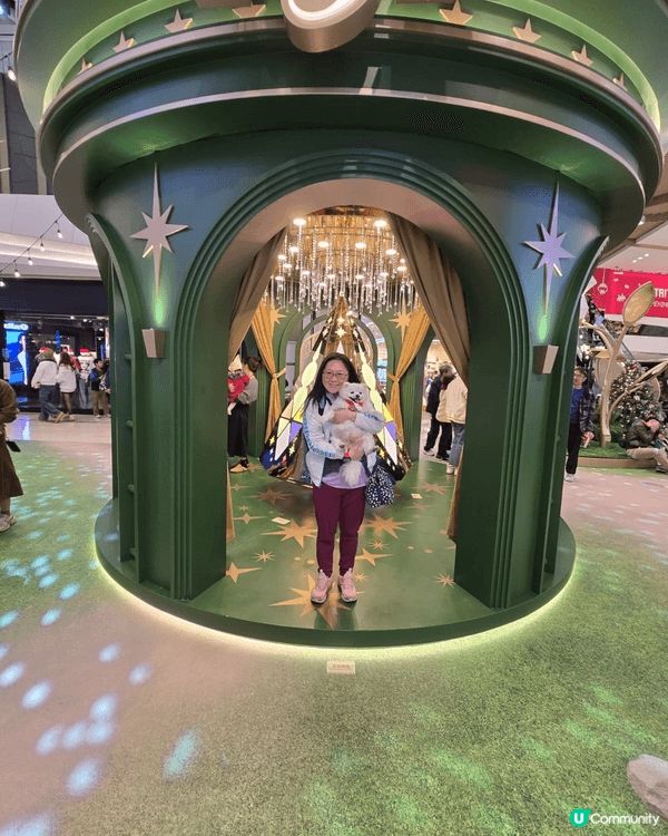 聖誕可帶毛孩去元郎yoho 1,2打卡 ，打完仲可帶孩子去狗...