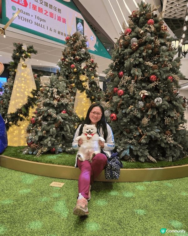 聖誕可帶毛孩去元郎yoho 1,2打卡 ，打完仲可帶孩子去狗...