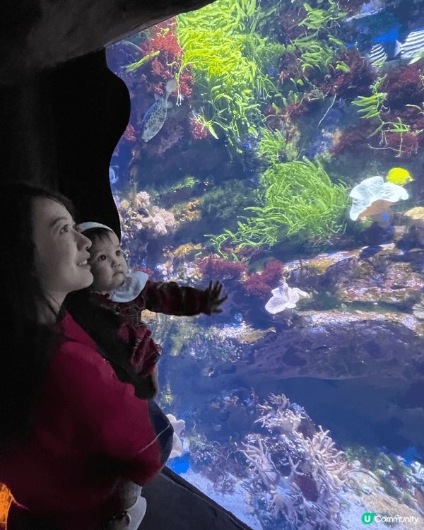Christmas baby at Ocean park