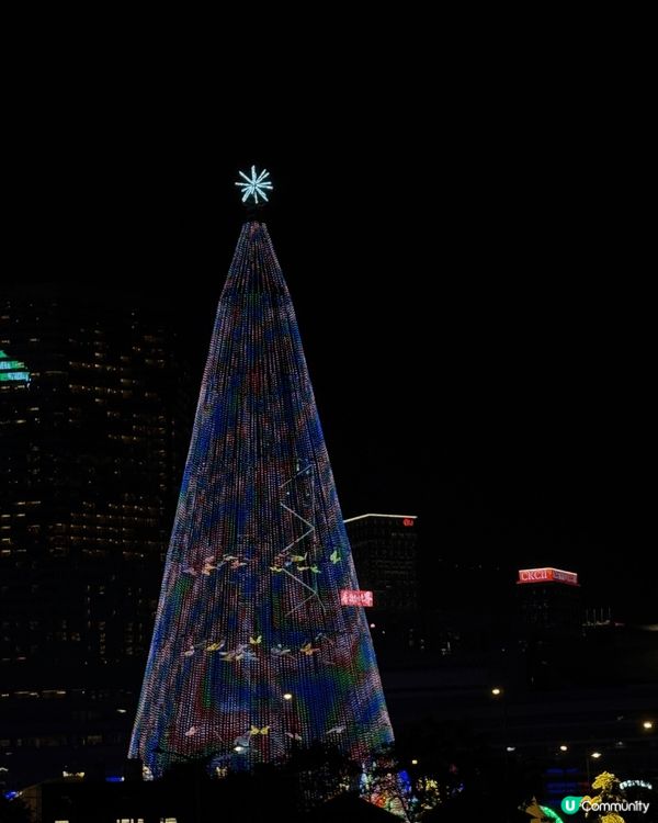 跟喜歡的人共渡了一個美滿而且充滿愛和期待的聖誕節。