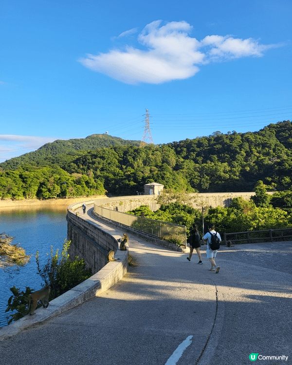 新手行山好去處，石梨貝水塘行山連接九龍水塘，比金山樹木研習徑...