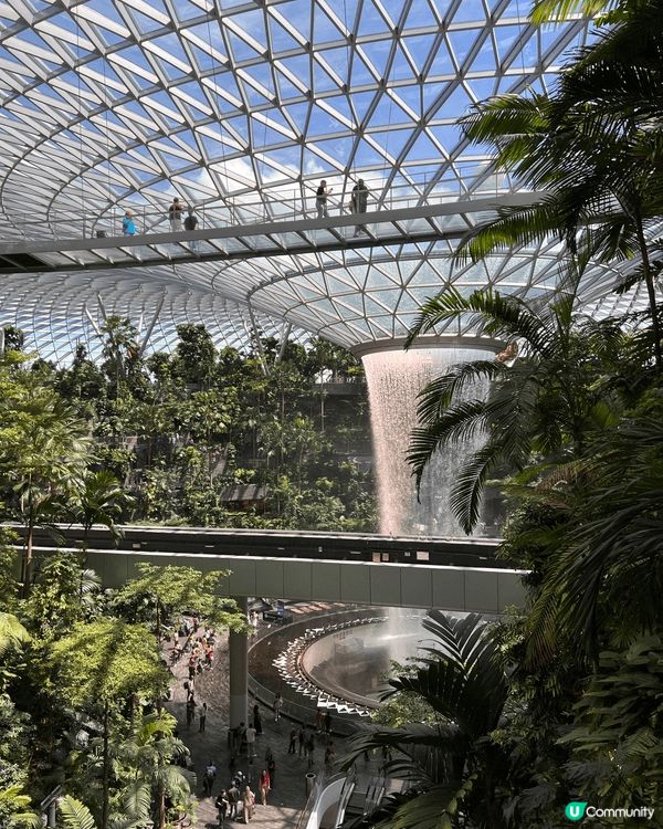 Jewel Canopy Bridge 係星耀樟宜入面嘅高空...
