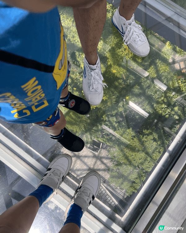 Jewel Canopy Bridge 係星耀樟宜入面嘅高空...