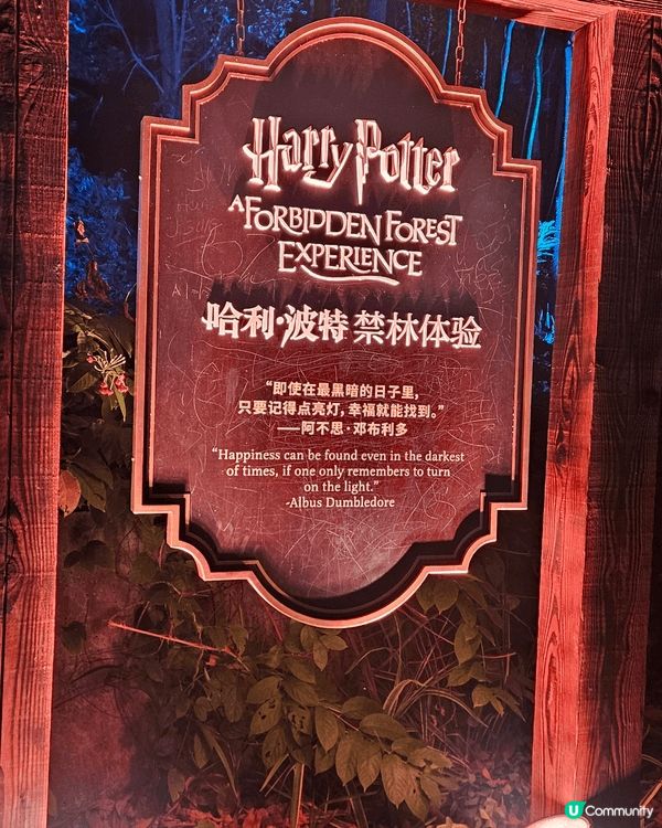 這次的哈利波特禁林體驗真是太棒了，帶著孩子一起來簡直是完美親...