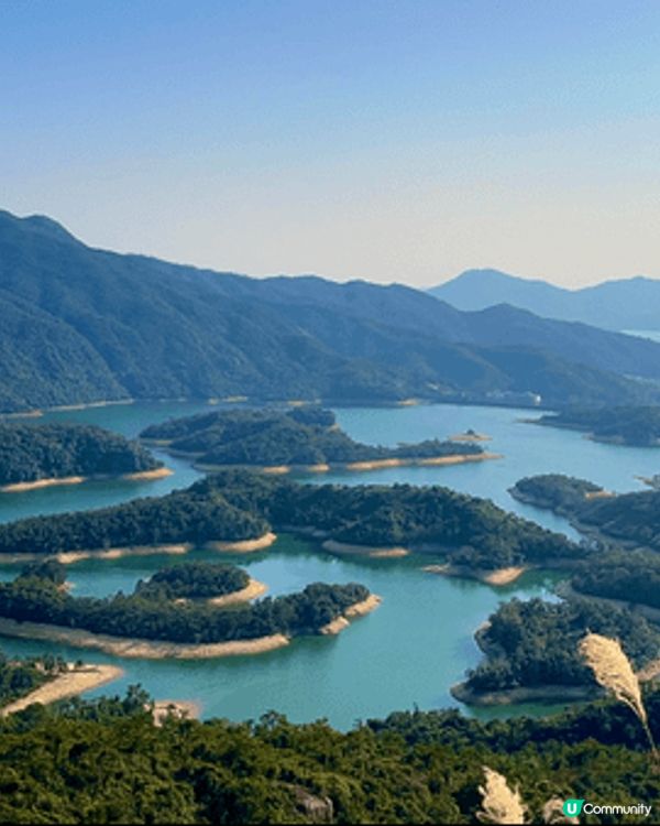 秋冬行山路線：大棠楓香林➡️千島湖➡️黃金海岸