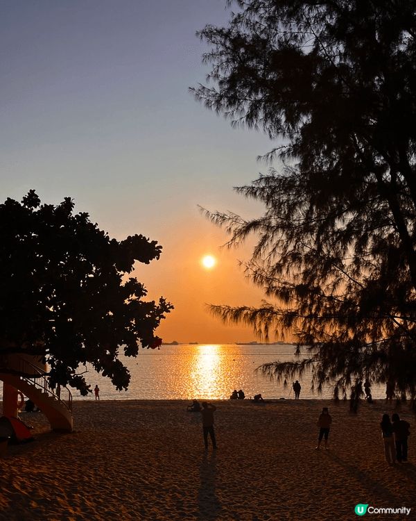 秋冬行山路線：大棠楓香林➡️千島湖➡️黃金海岸