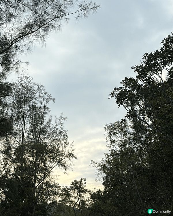 元荃古道 行足5個幾鐘 講足5個幾鐘 邊行邊打卡 輕鬆😎