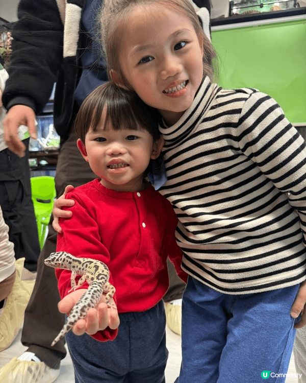 今日去咗荔枝角新開嘅min zoo玩，可以畀小朋友親身去換小...