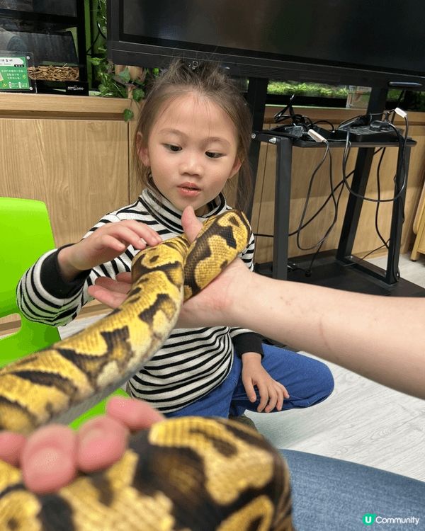 今日去咗荔枝角新開嘅min zoo玩，可以畀小朋友親身去換小...