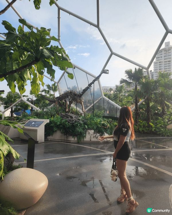 沉浸式體驗： 樂園內充滿了各種大小、會動會叫的逼真恐龍模型，...