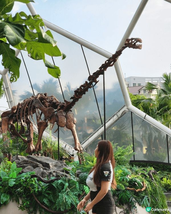 沉浸式體驗： 樂園內充滿了各種大小、會動會叫的逼真恐龍模型，...