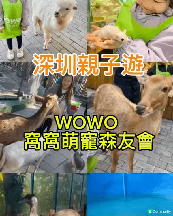 假期和小朋友周圍走，零距離接觸小動物，享受家庭樂
