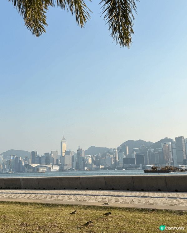 西九藝術公園坐落於香港西九文化區核心地帶，毗鄰維多利亞港，是...