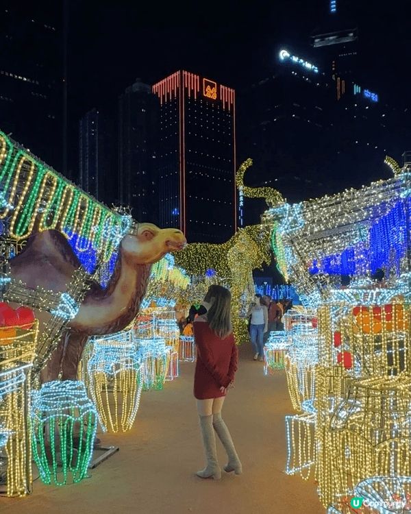 不久之前看到的長頸恐龍🦕