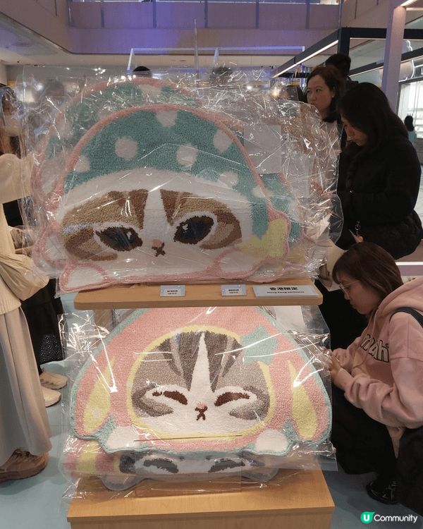 貓迷們有福了！超人氣的日本貓咪角色「mofusand」終於來...