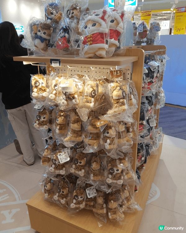 貓迷們有福了！超人氣的日本貓咪角色「mofusand」終於來...