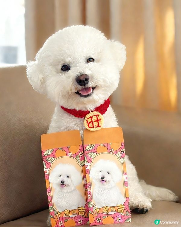 🧧🎊軒氏送福 賀年利是封製作全記錄